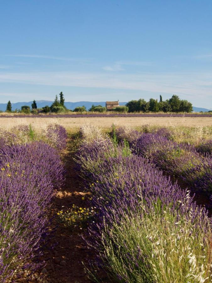 Oasis Tranquille - L'Evasion Au Verdon Gréoux-les-Bains Eksteriør bilde